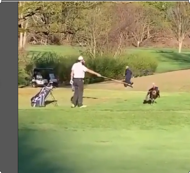 pelea entre un golfista y un pavo salvaje en Norte America en un campo de golf