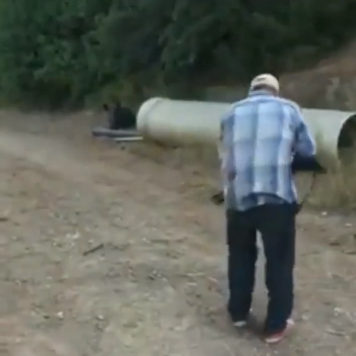 cazador se le encasquilla la escopeta cuando le pasa un jabali por delante de el .