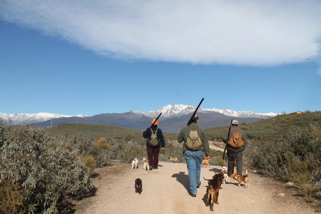 grupo de cazadores con sus perros disfrutando de una jornada de caza en el monte con nieve
